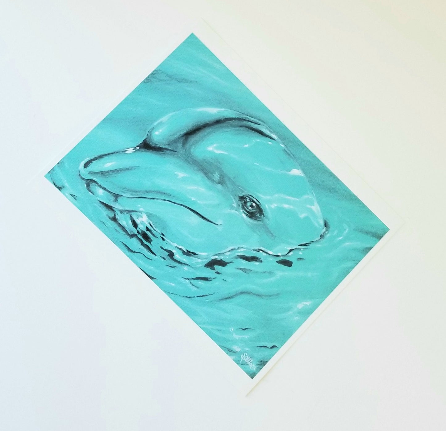 Dolphin - Art Print